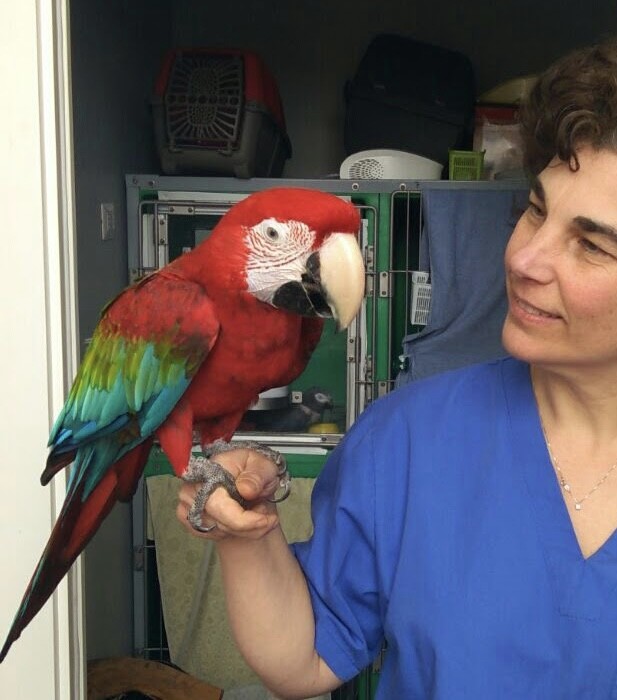 Images The Animal Clinic