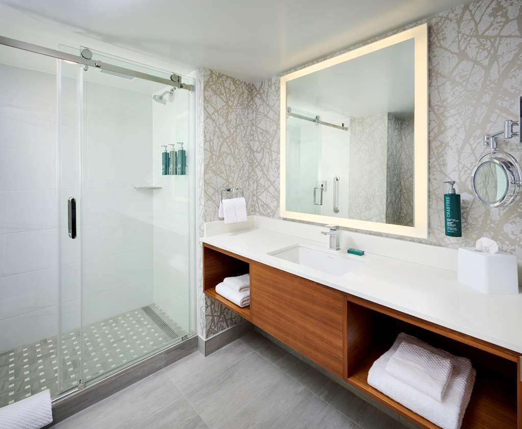 Guest room bath DoubleTree by Hilton Windsor Hotel & Suites Windsor (519)977-9777