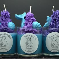 Images Cat's Candles