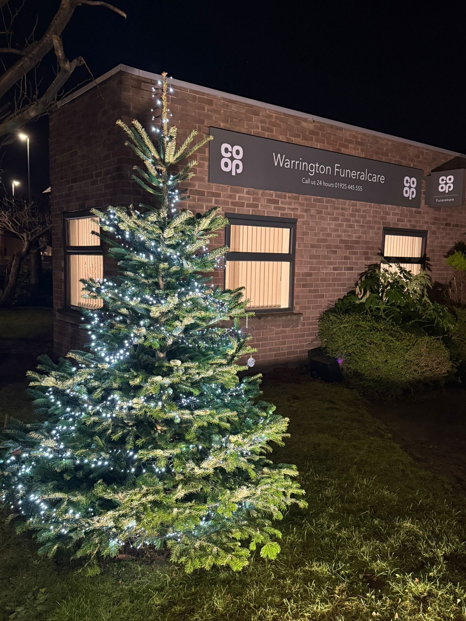 Christmas 2024 Memorial Tree