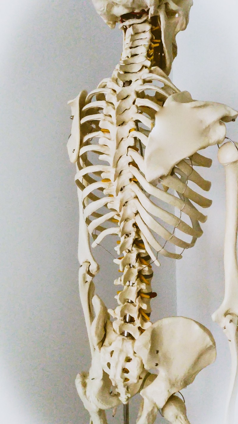 Images Fit and Fisio