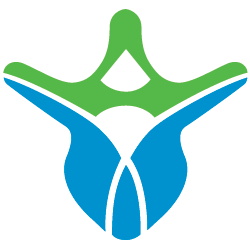 Synergy Spine Therapy Logo