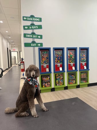 Images kiDDS Blvd Pediatric Dentistry