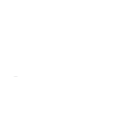 The Levin Firm Logo