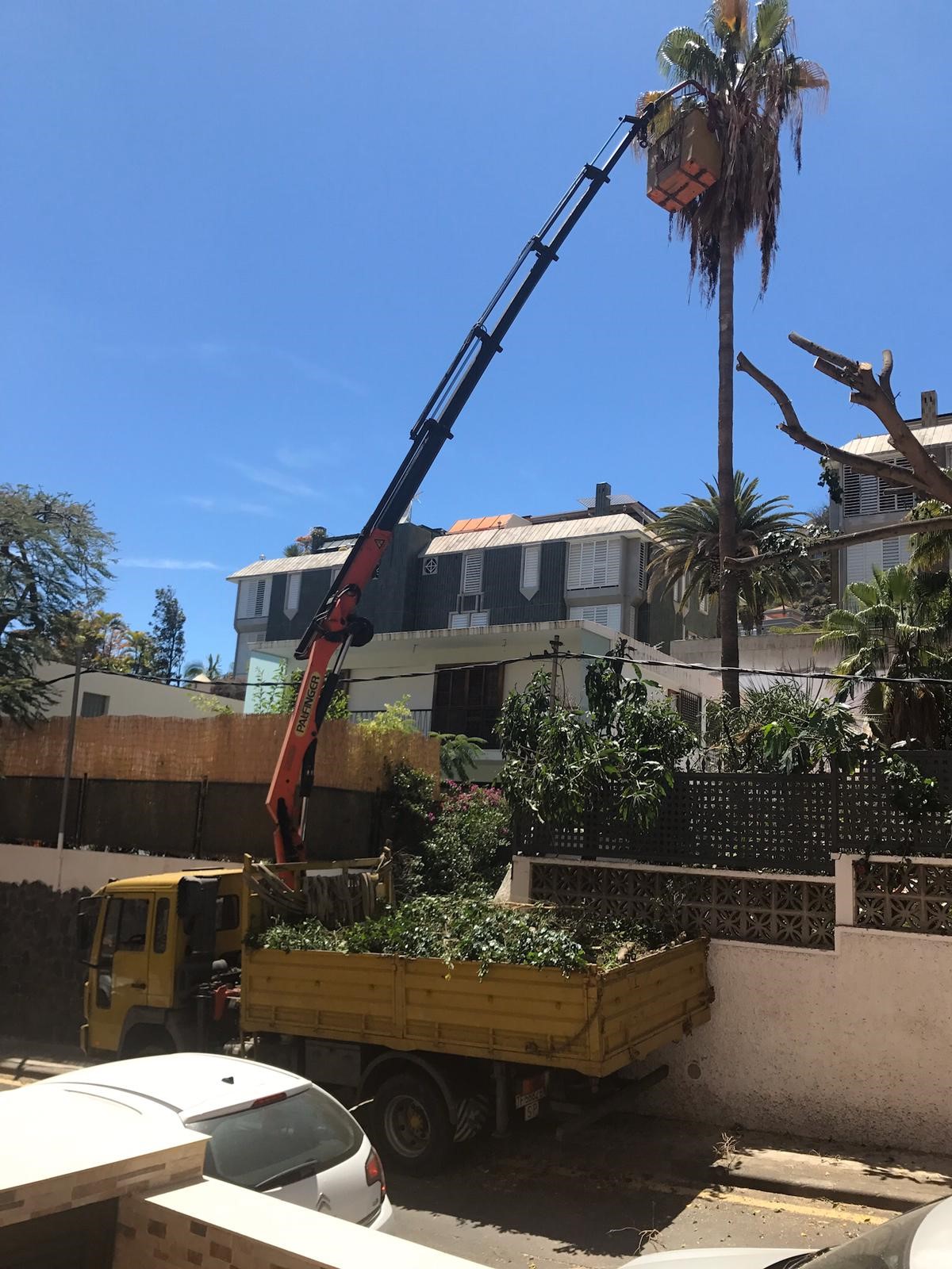 Images Transportes y Grúas Sisi