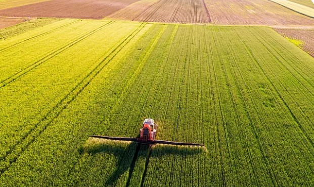 Black Gold fertiliser