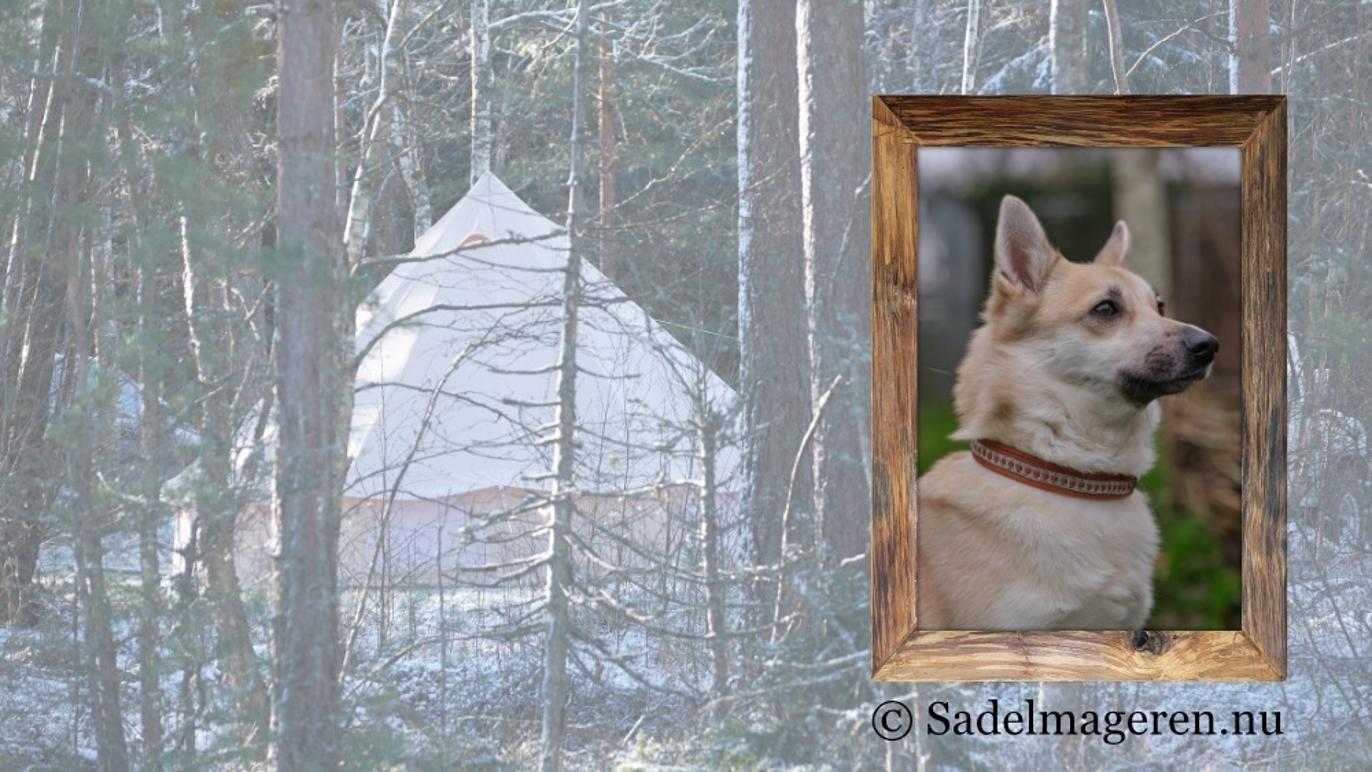 Images Sadelmageren.nu v. Eya Andersen