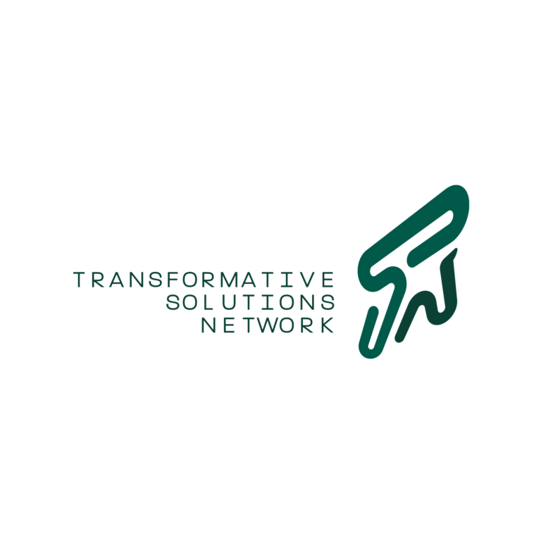 Transformative Solutions Network Logo