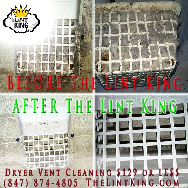 Bird's nest Cover Cleaning and Repair. The Lint King Inc.