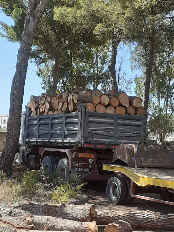 Images Casa della Legna Manutenzione del Verde