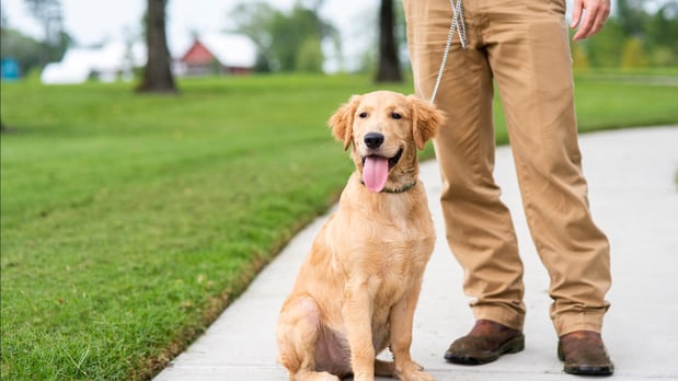 Images Toll Brothers at the River District