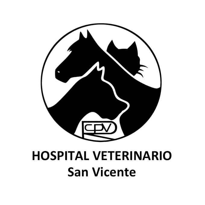 Hospital Veterinario San Vicente San Vicente del Raspeig