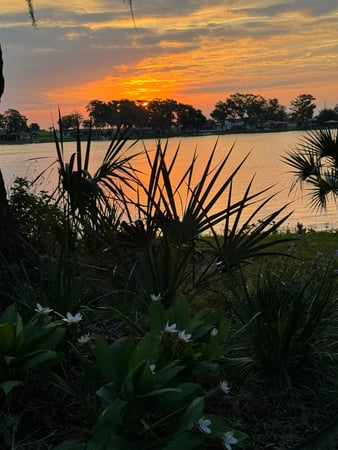 Images Sunshine Lodge