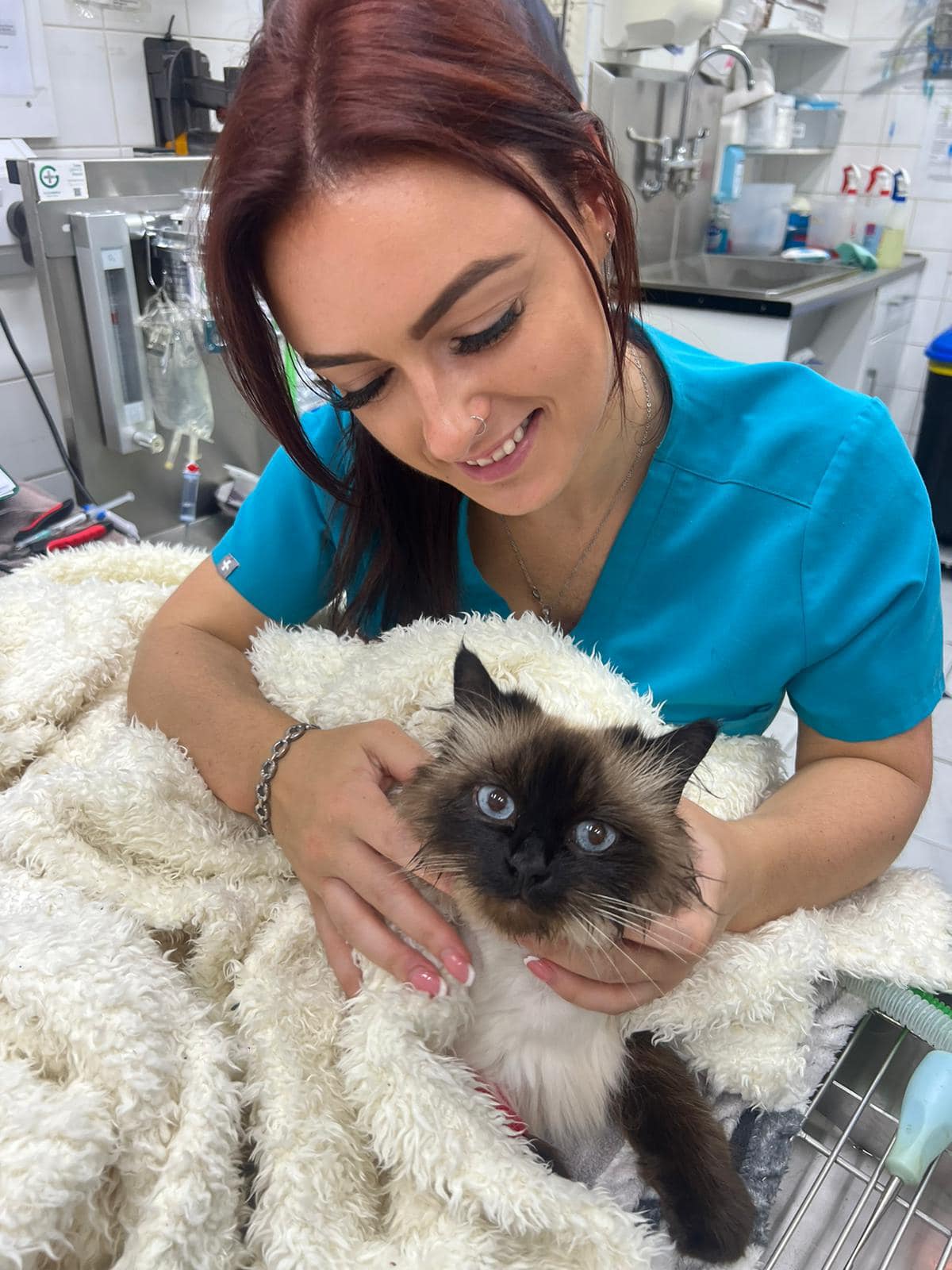 Images Streatham Hill Veterinary Surgery