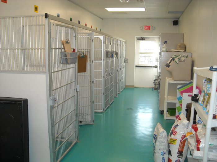 Images VCA Broad Street Animal Hospital
