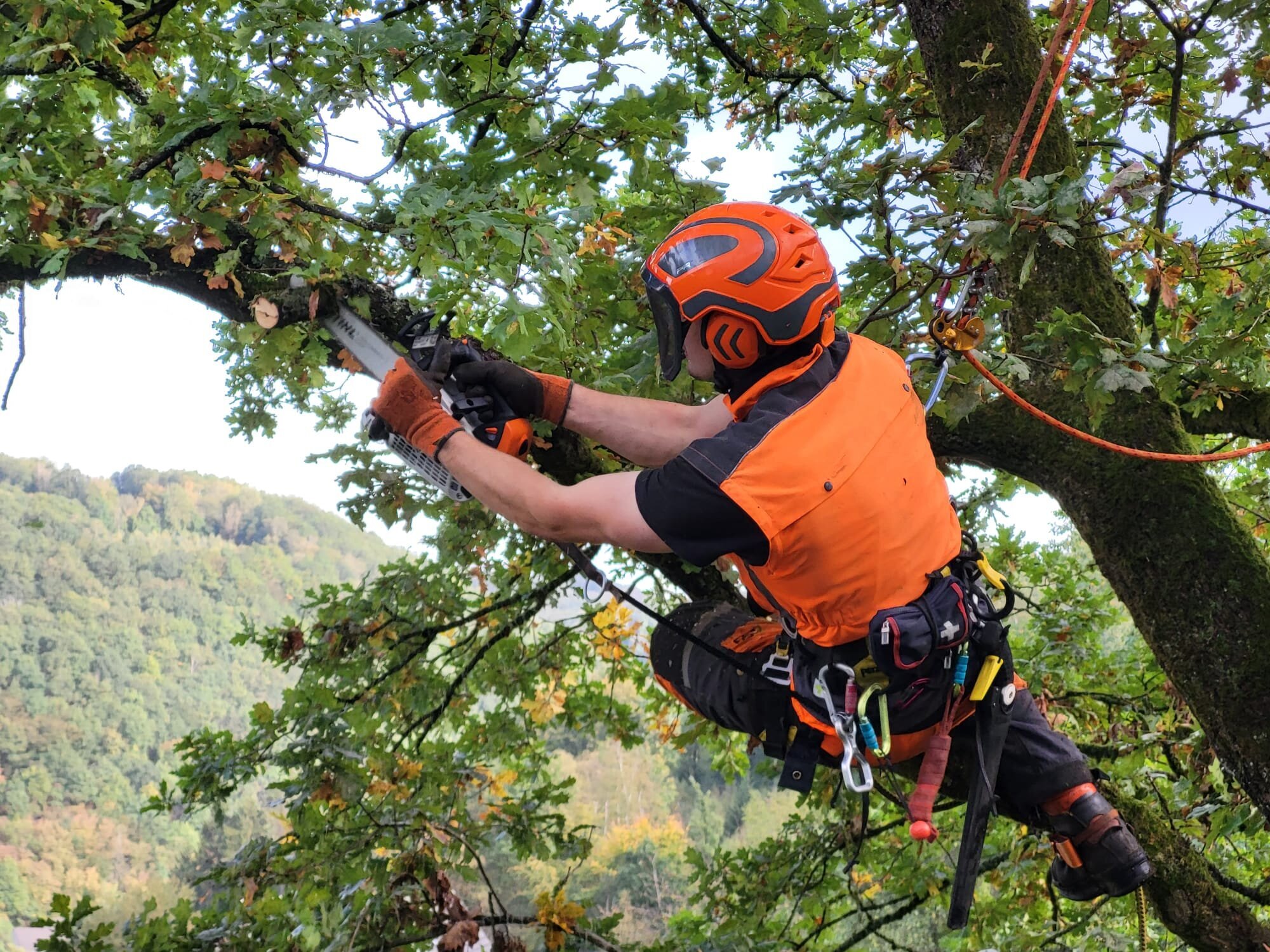 Baumdienst Behan, Im Winkel 22 in Schalksmühle