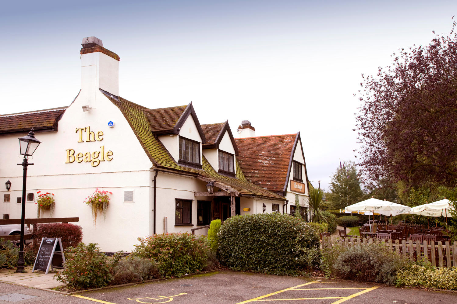 The Beagle Vintage Inn restaurant Premier Inn Ipswich (Chantry Park) hotel Ipswich 03330 031738