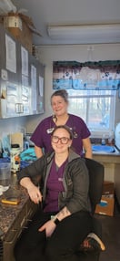 Images VCA Peone Pines Animal Hospital