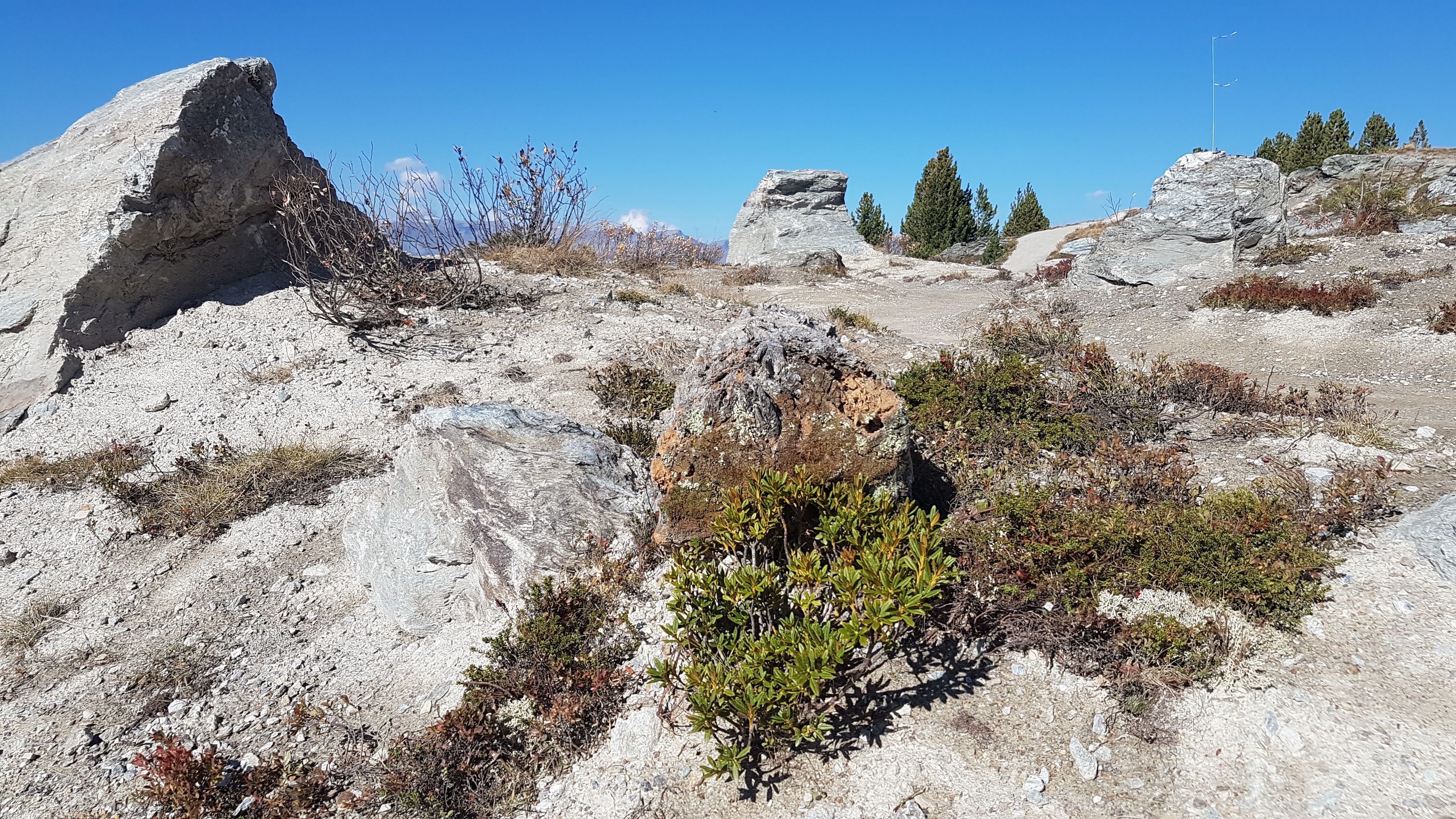 Bilder Jardin SA