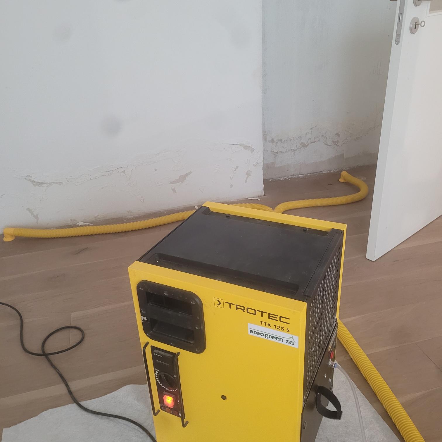 Bilder ACEOGREEN SA