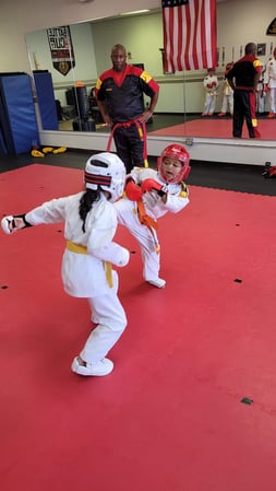 Images Jaguar Dojo