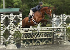 Images Star Ridge Stables
