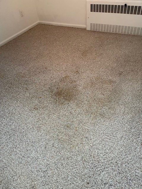 Images Rapid Dry Carpet Cleaning LLC