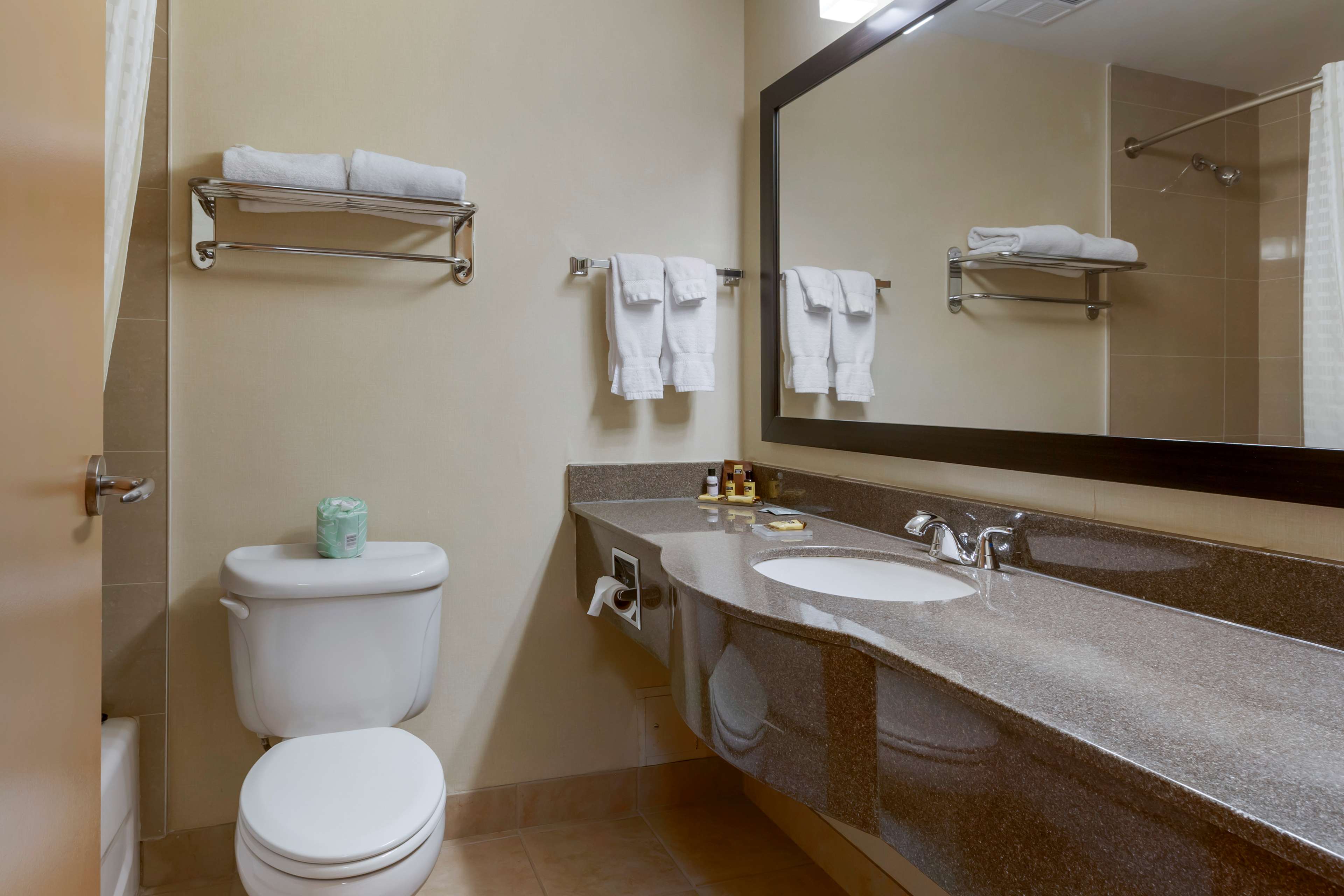 bathroom Best Western Plus Burlington Inn & Suites Burlington (905)639-2700