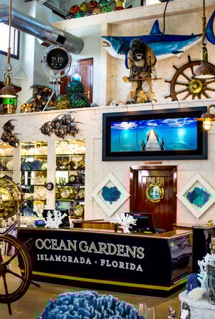 Images Ocean Gardens