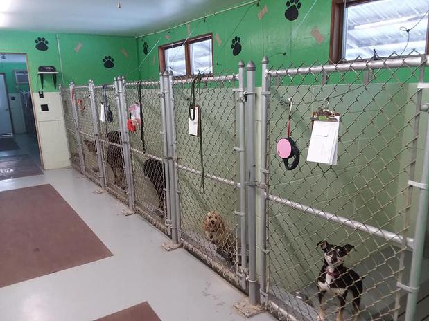 Images Kountry Kennels