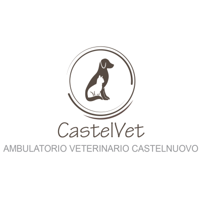 CastelVet Logo