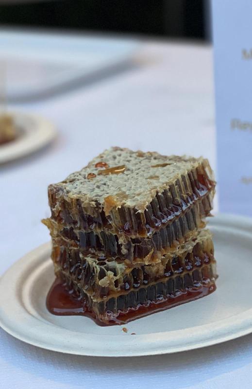 Images Apicoltura Lsg