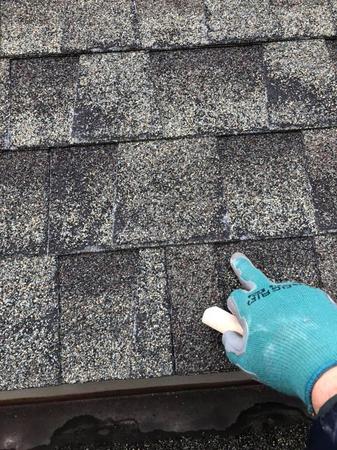 Images LoveOurRoof, an Xcel Company