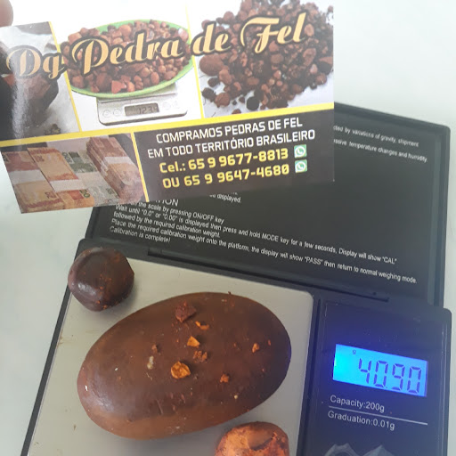 Images Dg pedras de fel bovinos