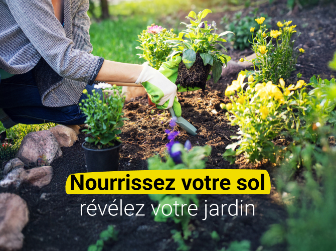 Nourrir son sol : terreaux et amendements du jardin