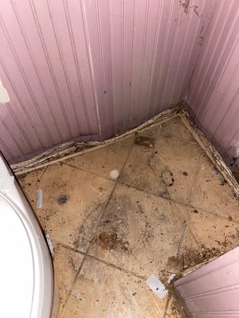 Images TMT Restorations