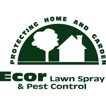 Ecor Lawn Spray & Pest Control - Melbourne, FL 32935 - (321)204-2084 | ShowMeLocal.com