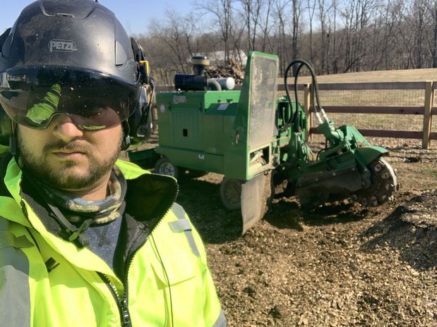 Images Native Tree Care LLC