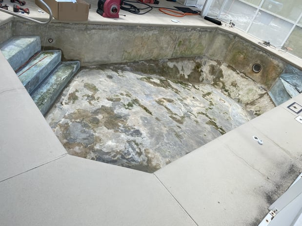 Images Paradise Palm Pools Inc