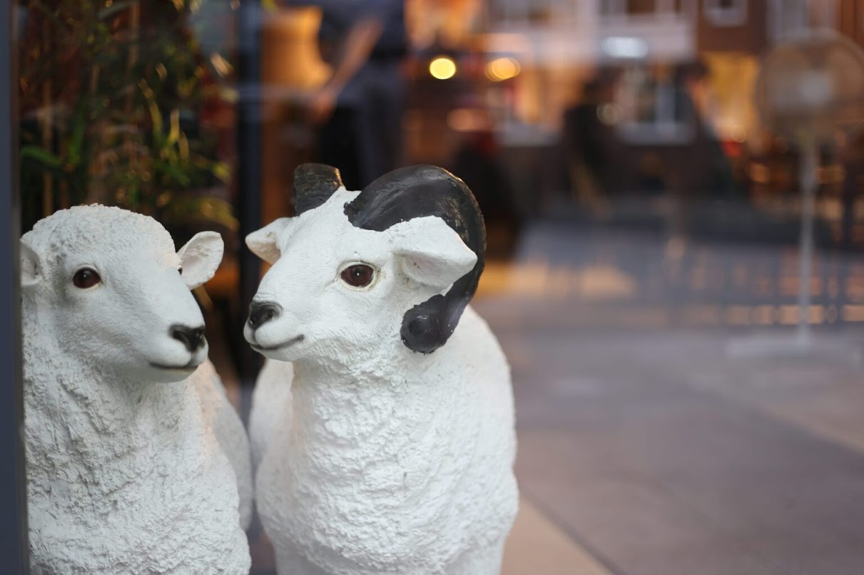 Little Lamb - Hot Pot, Grill & Chinesisches Restaurant Düsseldorf, Kölner Straße 14 in Düsseldorf