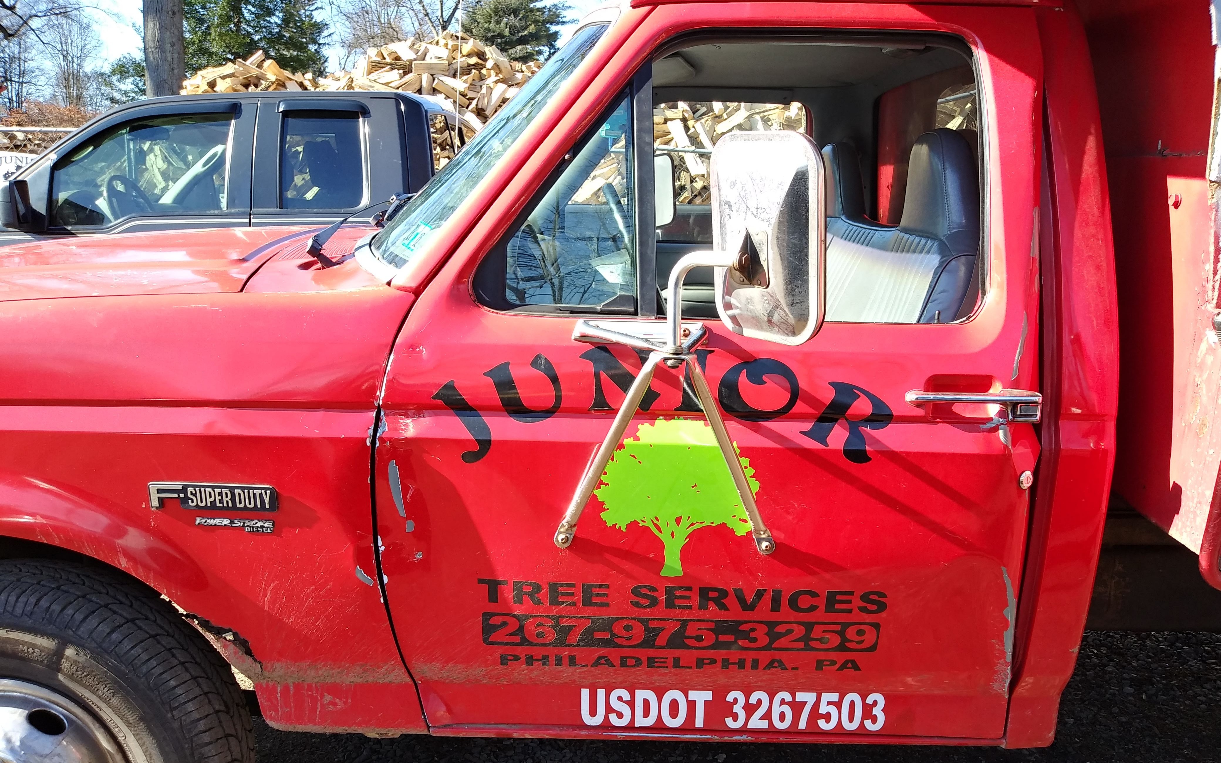 Junior Tree Service Photo
