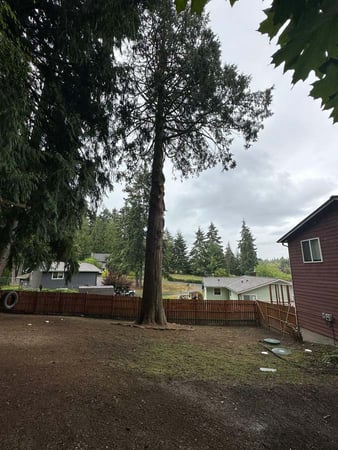 Images Brothers Tree service & Landscaping