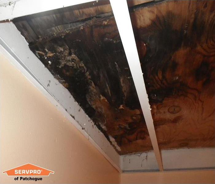 Roof Leak Leads To Major Mold Infestation In Patchogue