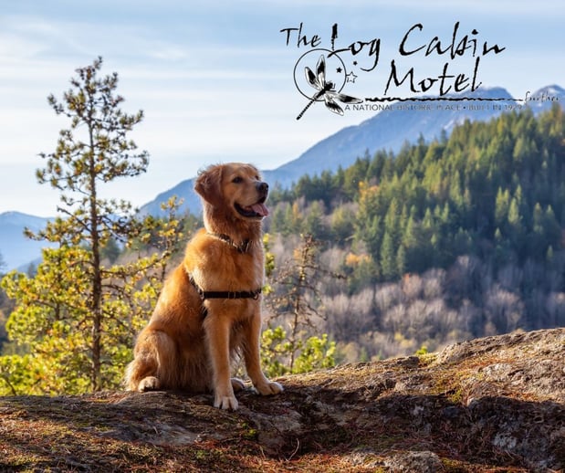 Images Log Cabin Motel