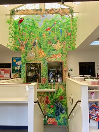 Images Spring Park KinderCare