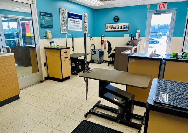 Images Petco Grooming