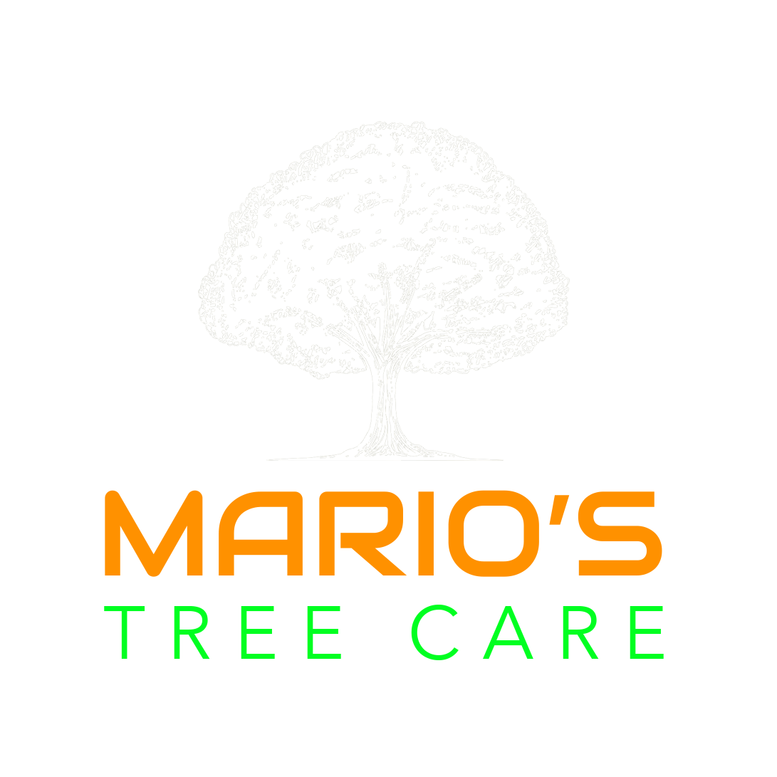 Mario’s Tree Care Logo