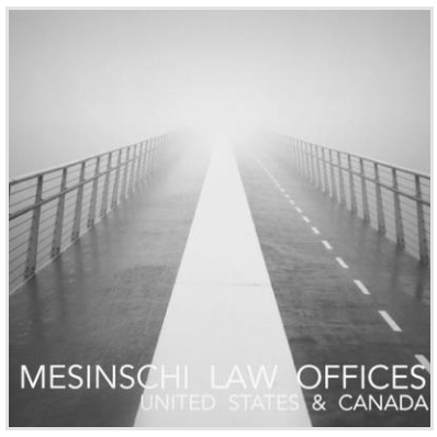 Mesinschi Law Offices, Pllc