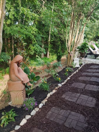 Images D and B Exterior Solutions