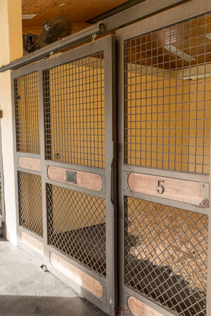 Images Palm Beach Equine Clinic